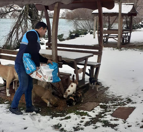 Battalgazi Belediyesi Soğukta Açlıkla Mücadele Eden Can Dostlarımızı Unutmuyor